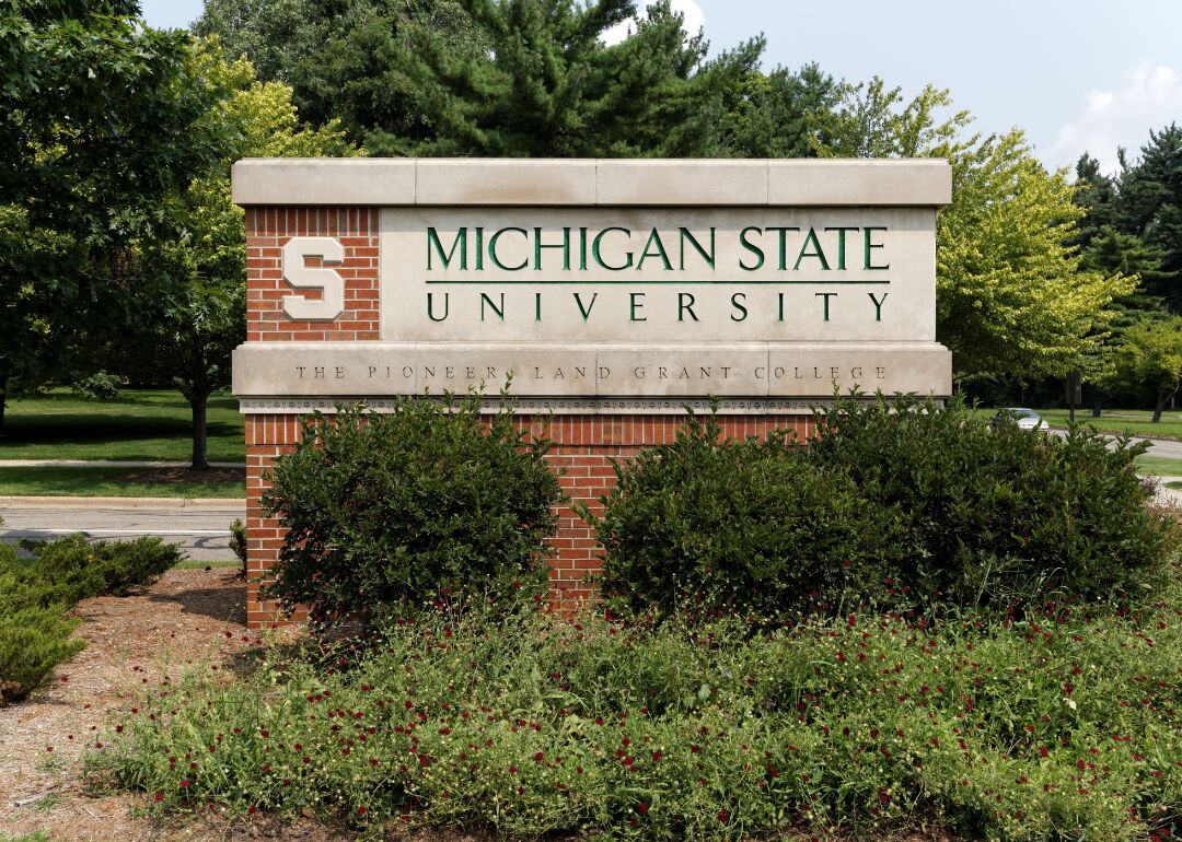 Michigan: Michigan State University